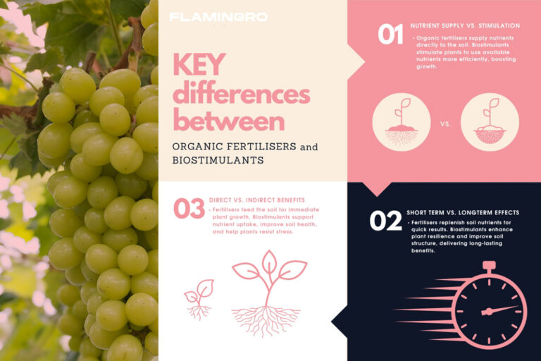 Flamingro Organic Fertilisers Vs Organic Biostimulants Infograhic Nz