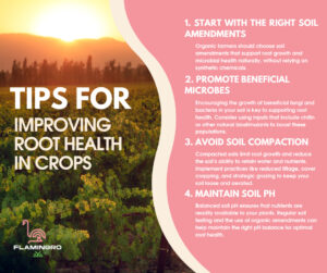 Flamingro Tips For Improving Root Health In Organic Crops For Higher Yields Nz