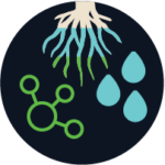 Flamingro Increases Water And Nutrient Uptake