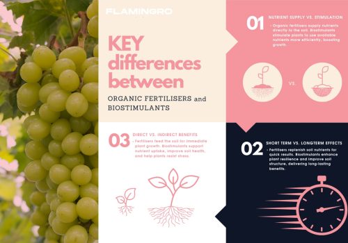 Flamingro Organic Fertilisers Vs Organic Biostimulants Infograhic Nz