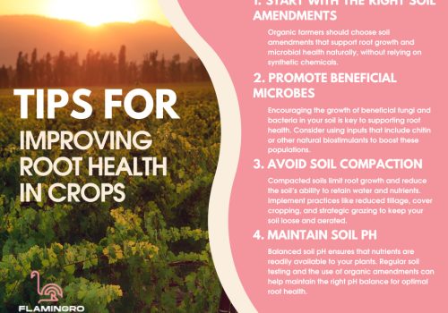 Flamingro Tips For Improving Root Health In Organic Crops For Higher Yields Nz